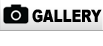 GALERIE